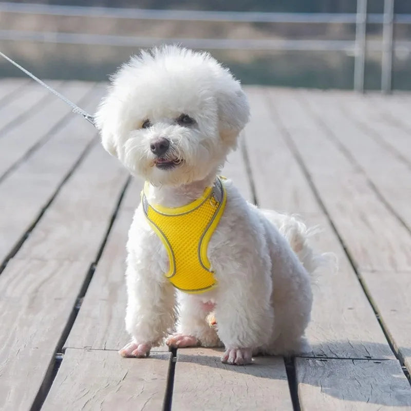 Arnés Chaleco Reflectivo con Correa para Perro