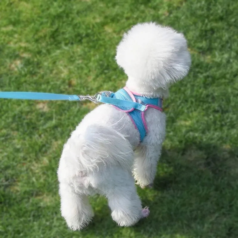 Arnés Chaleco Reflectivo con Correa para Perro